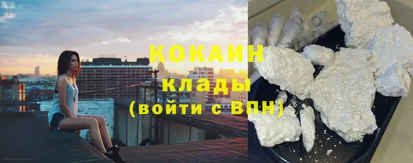 прущие грибы Волосово