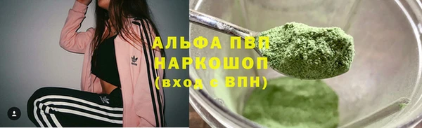 прущие грибы Волосово