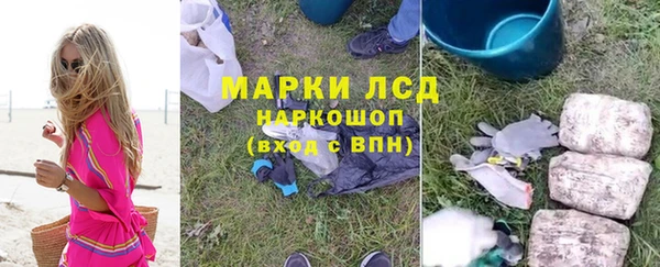 прущие грибы Волосово
