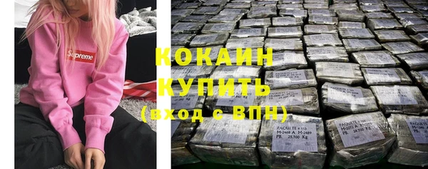 гидра Володарск