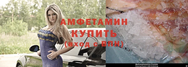 гидра Володарск