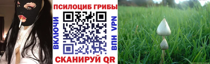 Галлюциногенные грибы ЛСД  Купить  Славгород 